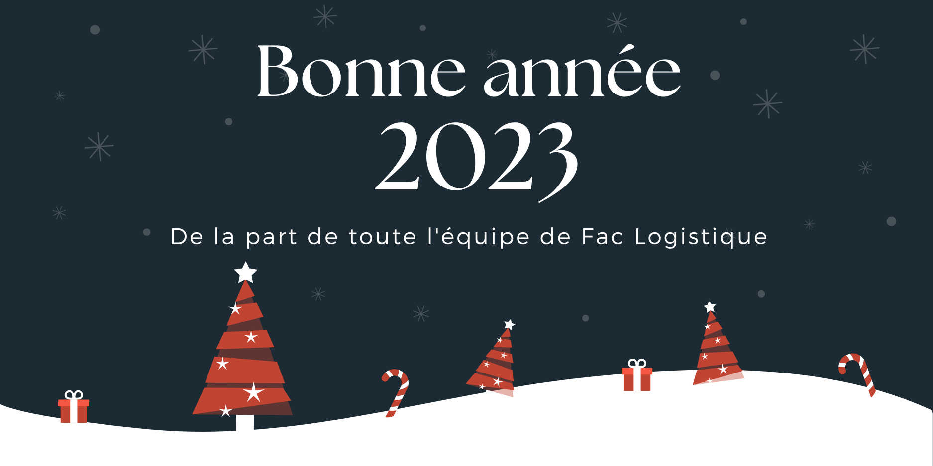 Meilleurs Voeux 2023